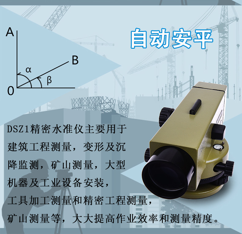 DSZ1-5.jpg
